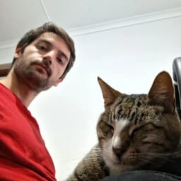Person with a cat